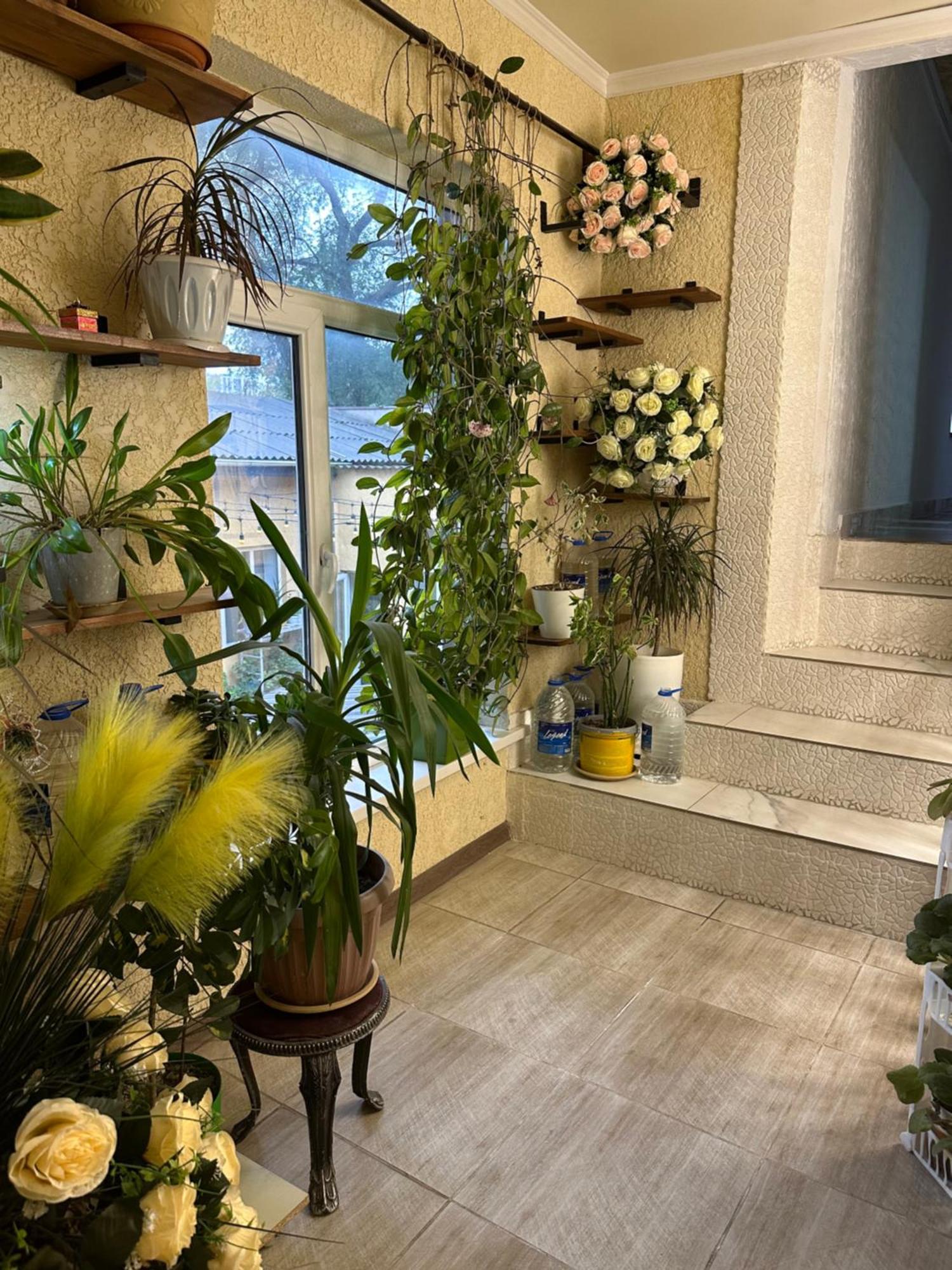 Sweet Home Hostel 比什凯克 外观 照片